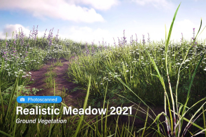 Realistic Meadow 2021  Ground Vegetation (V 1.0.1)