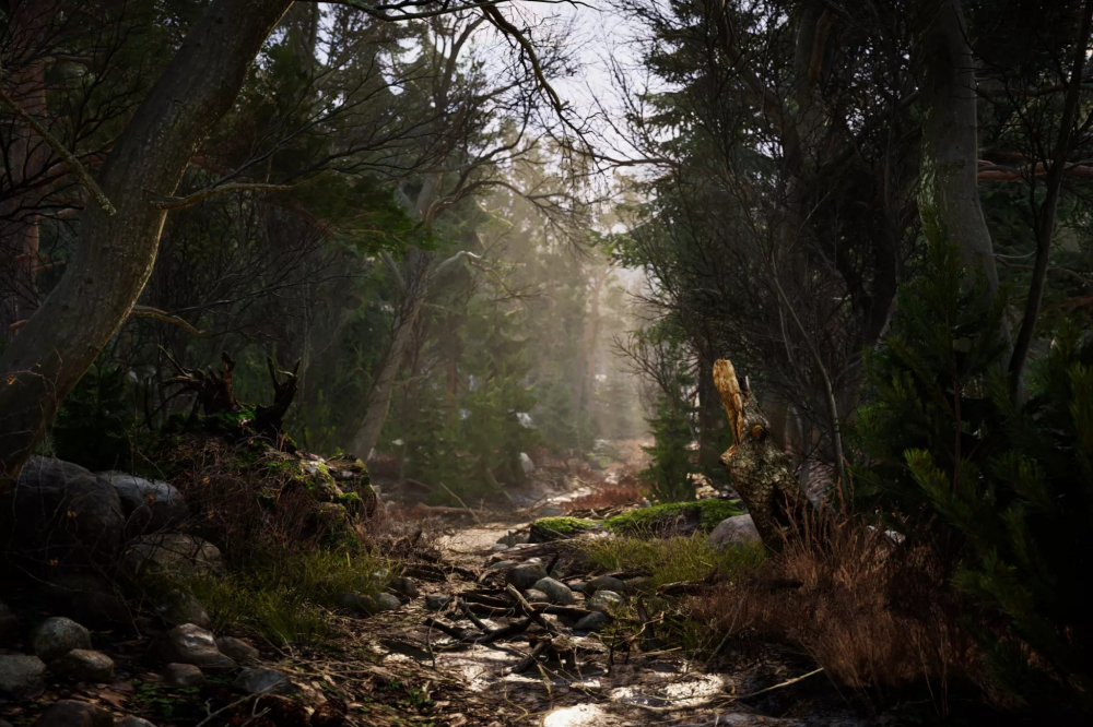 Real Landscapes - Valley Forest